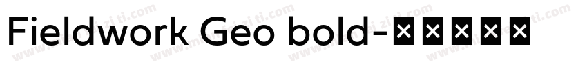 Fieldwork Geo bold字体转换